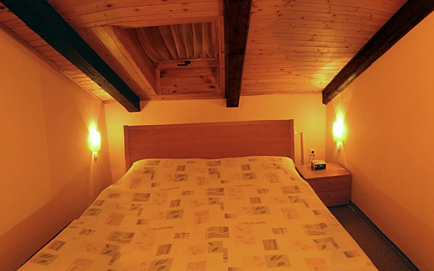 Hotel Dynamic***